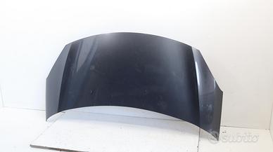 COFANO ANTERIORE CITROEN DS3 Serie 7901R1 8H01 (09