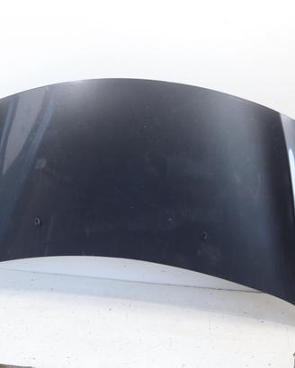 COFANO ANTERIORE CITROEN DS3 Serie 7901R1 8H01 (09