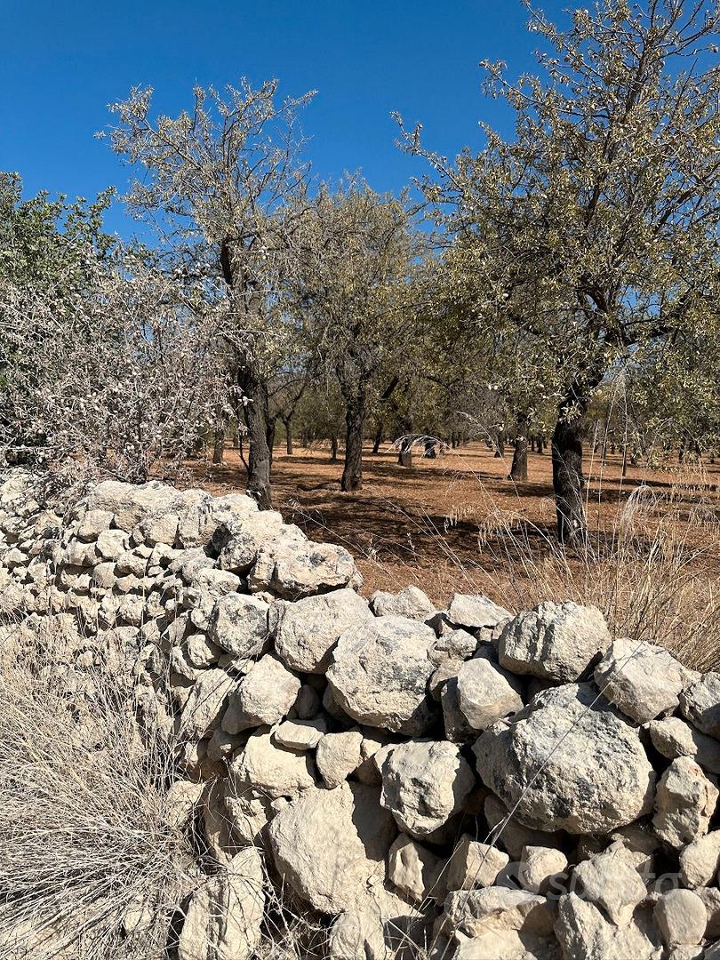 Rudere in Pietra con 35.000 mq di Terreno a Noto - Vista 5