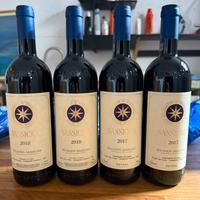 SASSICAIA 2018 2017