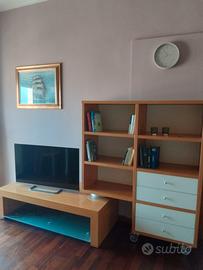 Comodo BILOCALE con CANTINA