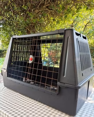 TRASPORTINO AUTO PER CANE
