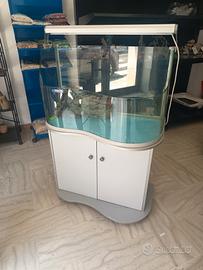 Acquario, tartarughiera 