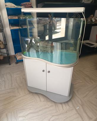 Acquario, tartarughiera 