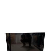 Televisore LG 32 pollici LCD