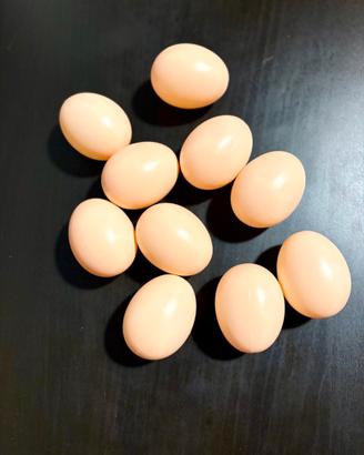 Uova Finte per Galline in Plastica