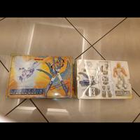 Cavalieri dello zodiaco (Cygnus) 1988