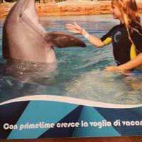 Buona vacanza 1 settimana in appartamento bilocale