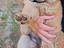 Immagine 3