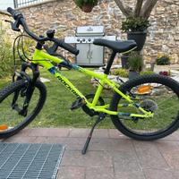 Bici montain bike sport trial