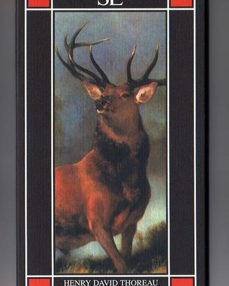 LE FORESTE DEL MAINE. Chesuncook - di H.D. Thoreau