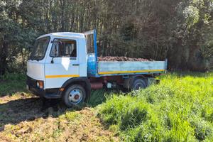 iveco zeta 50.10