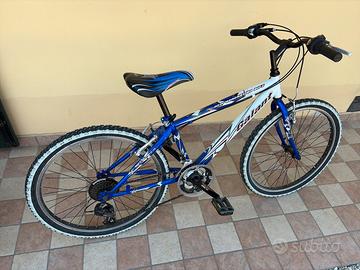 Bici ragazzo raggio 24