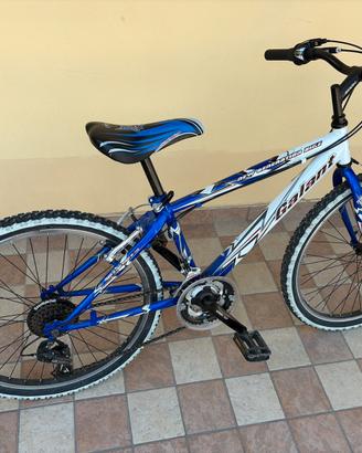 Bici ragazzo raggio 24