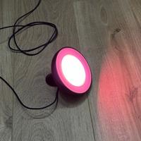 Philips Hue Lamp Bloom