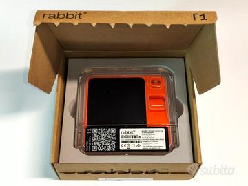 R1 AI smart assistant