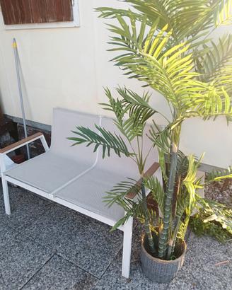 panchina e pianta da esterno 
