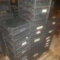 Cassette plastica nere