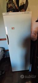 congelatore verticale