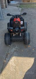 quad elettrico 