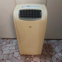 Pinguino-Condizionatore+deumidificatore portatile