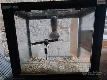 Terrario 