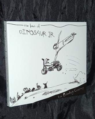 dinosaur jr - ear bleeding country
