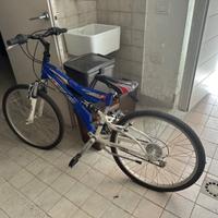 Bicicletta