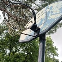 Canestro Basket professionale altezza regolabile