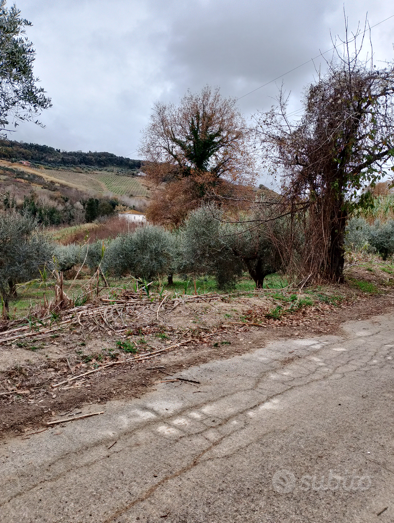 Terreno agricolo - Vista 6