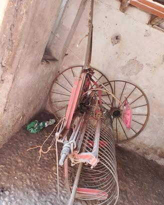 raccoglie erba antico