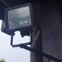 Faretti alogeni disano