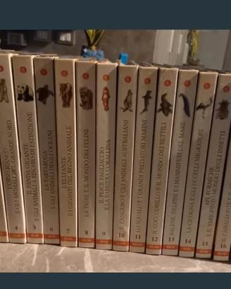 enciclopedia 