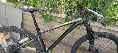 MTB Giant Fathom 29 1