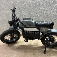 Bicicletta elettrica Ape Ryder Gibbon