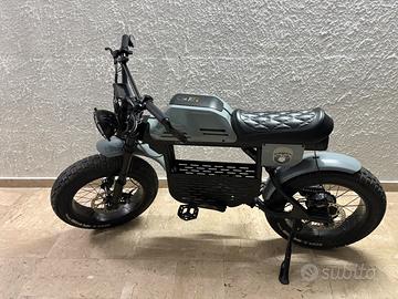 Bicicletta elettrica Ape Ryder Gibbon