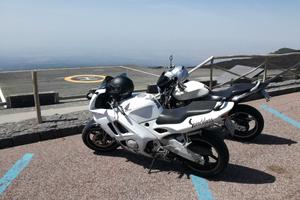 Honda CBR 600 F
