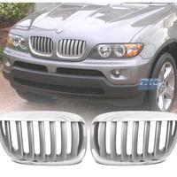 GRIGLIE BMW X5 E53 LCI 04-06 LOOK TITANIO CROMATO 