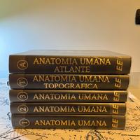 SET COMPLETO 5 VOLUMI ANASTASI ANATOMIA RILEGATI