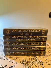 SET COMPLETO 5 VOLUMI ANASTASI ANATOMIA RILEGATI