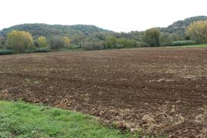 Terreno uso agricolo