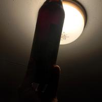 vino rosso Gattinara 1954