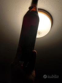 vino rosso Gattinara 1954