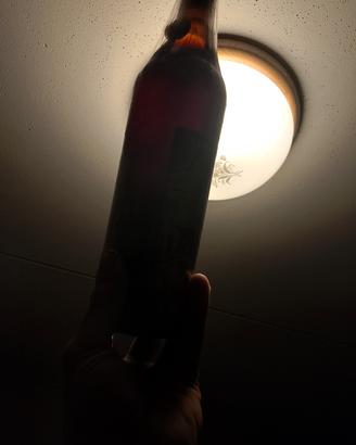 vino rosso Gattinara 1954