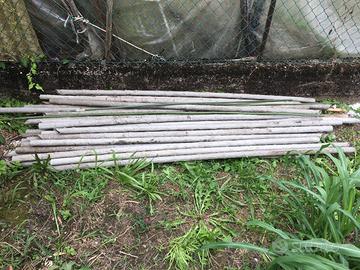 canne  bastoni per orto