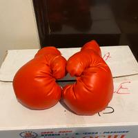 Guantoni boxe