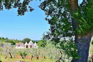 Rustico a Putignano, 3 locali