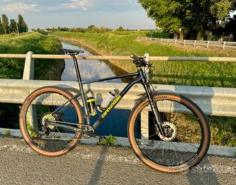 Cannondale Trail 2 Pro - Taglia XL
