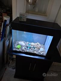 acquario 