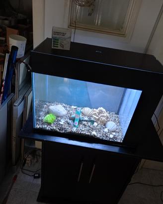 acquario 